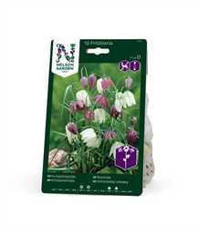 Vibeæg, blandede farver