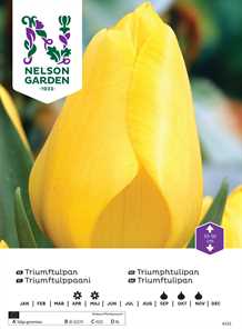 Tulipan Triumf Gul