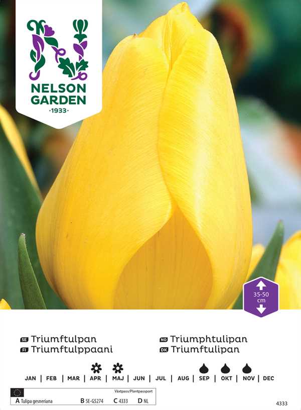 Tulipan Triumf Gul