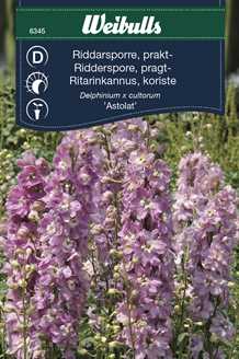 Ridderspore `Astolat`