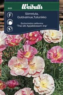 Guldvalmue `Appelblossom`