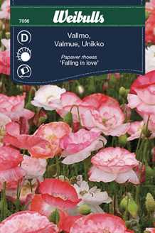 Valmue `Falling in love`