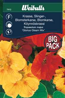 Blomsterkarse - Big Pack
