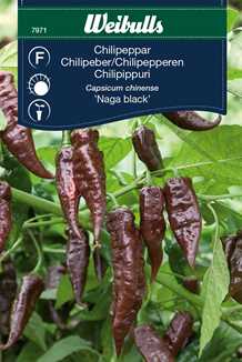 Chillipeber `Naga black`