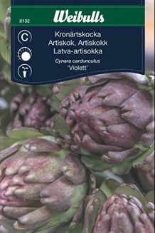 Artiskok 'Violet de Provence'