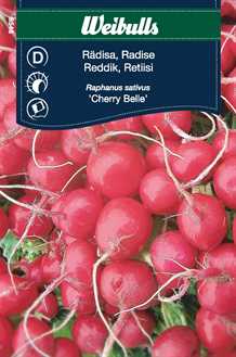 Radise `Cherry Belle`