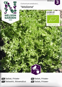 Salat, Frisee-, Wallone, Organic