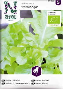 Salat, Pluk-, Catalonga, Organic