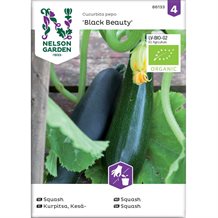 Squash 'Black Beauty' øko