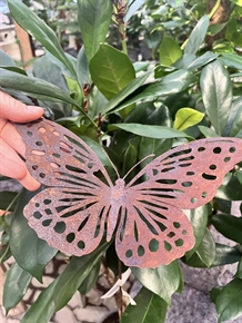 Sommerfugl rustent jern 