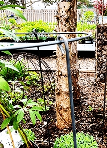 Stor staudeholder i jern