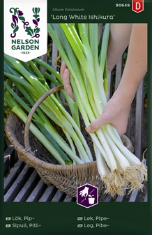 Løg, Pibe-, Long White Ishikura