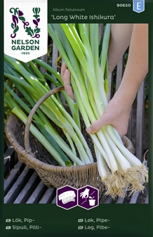 Løg, Forårs-,Long White Ishikura, såbånd