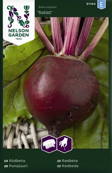 Rødbede, Solist, såbånd