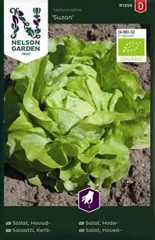 Salat, Hoved-, Suzan, Organic