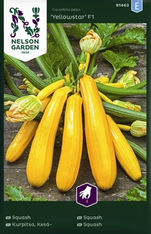 Squash, Yellowstar F1