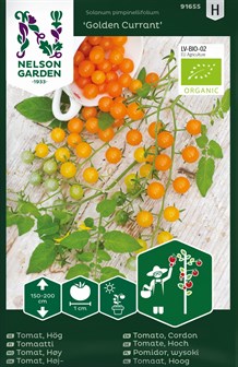 Tomat, Golden Currant, Organic