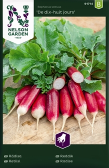 Radise, De dix-huit jours