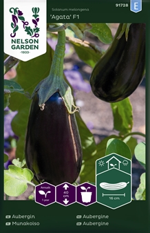 Aubergine, Agata F1