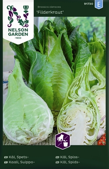 Kål, Spids-, Filderkraut