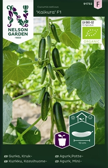 Agurk, Mini, Kaikura F1, Organic