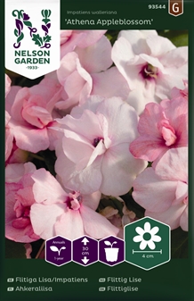 Flittiglise, Athena Appleblossom F1