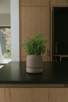 Viva selvvandende potte Grå 14cm