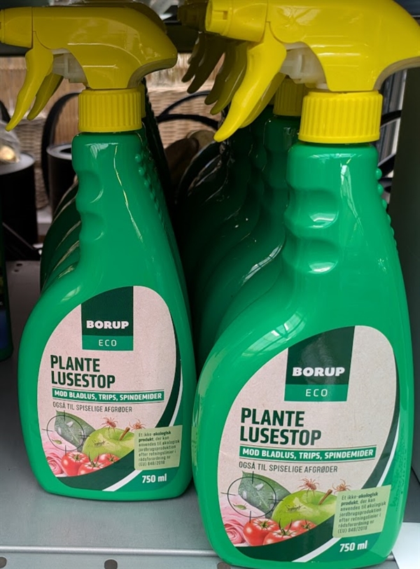 Plante Lusestop 