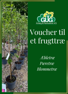 Voucher til frugttræ (fysisk gavekort) 