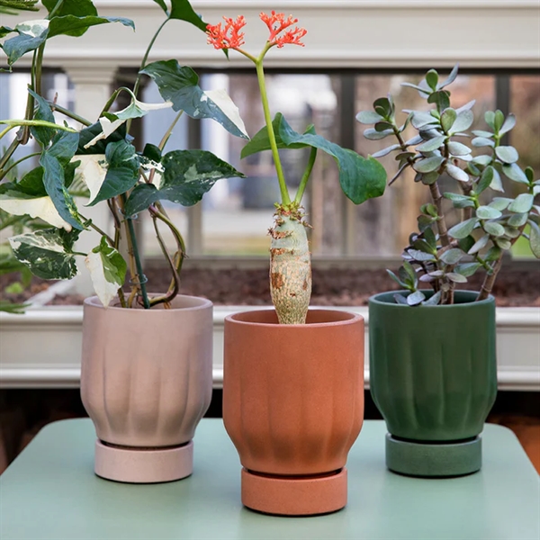 Raw Matter Silk Beton Blomsterpotte