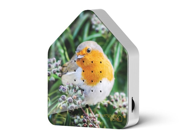 Zwitscherbox Rødhals – fuglekvidder med samlermotiv