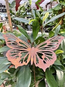 Sommerfugl rustent jern 