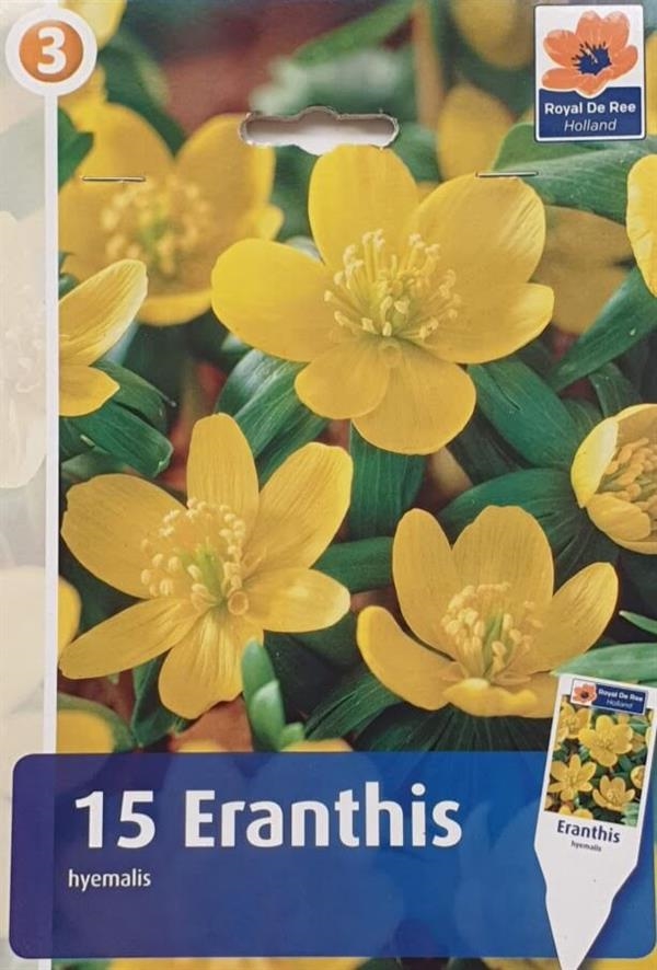 Erantisløg