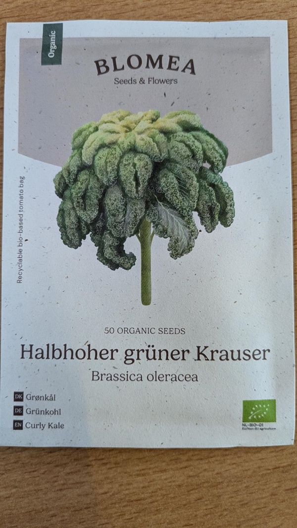 Grønkål 