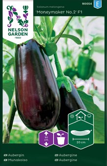 Aubergine