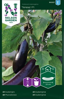 Aubergine