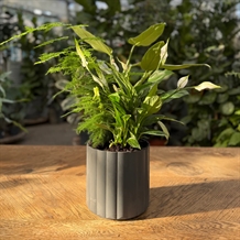 Klimakrukken Mikro Ø18 cm