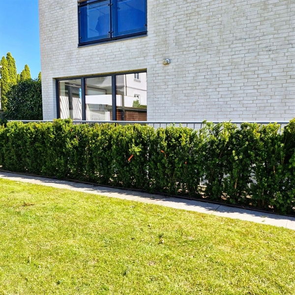 NemHæk Taks 1m 150cm