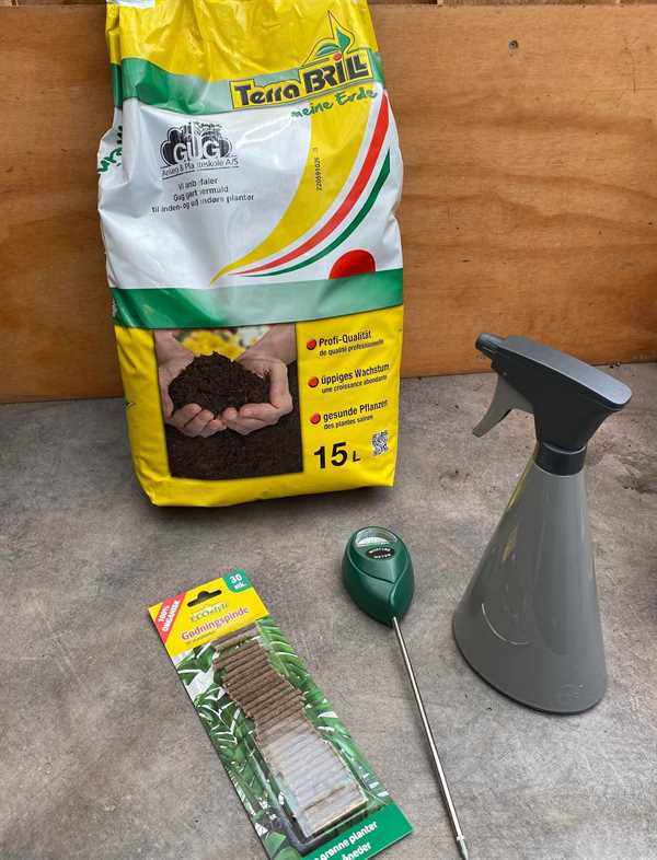 Omsorgspakke stueplanter