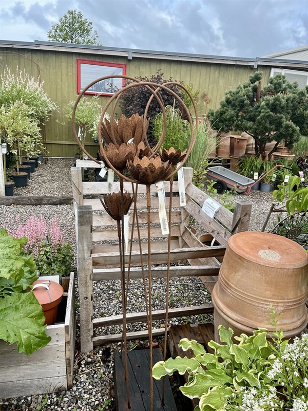 Waterlily i ring med rør – Rustdekoration 
