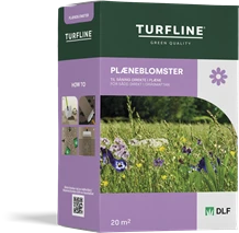 Plæneblomster