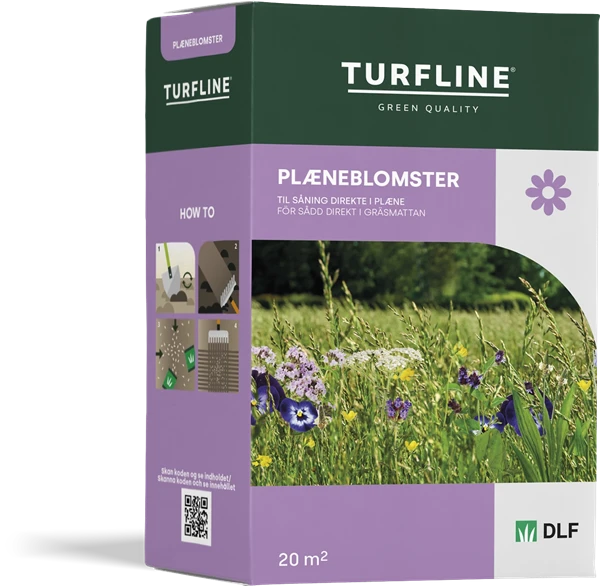 Plæneblomster
