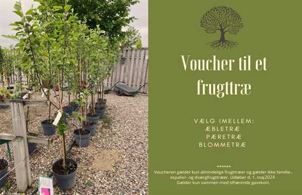 Voucher til et frugttræ